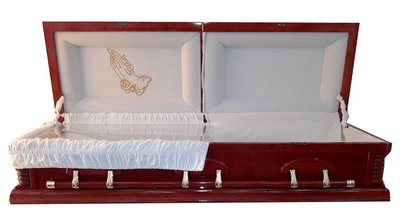 Casket Dove open